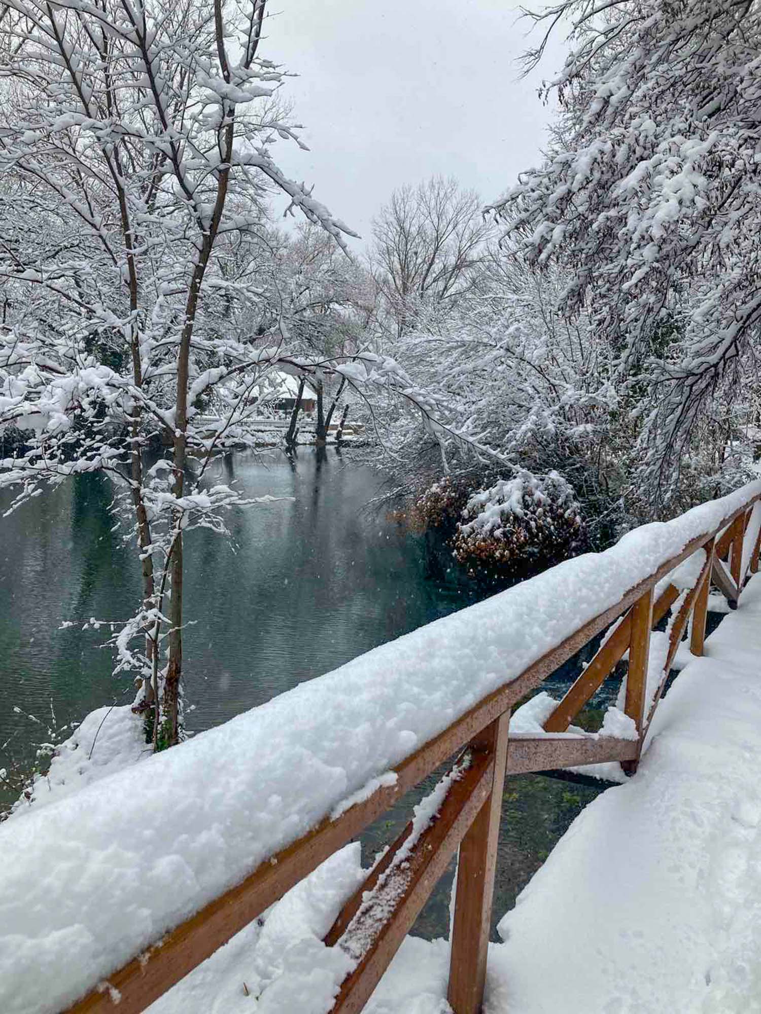 Zimska tišina na Japodskim otocima: Album za resetiranje - 1