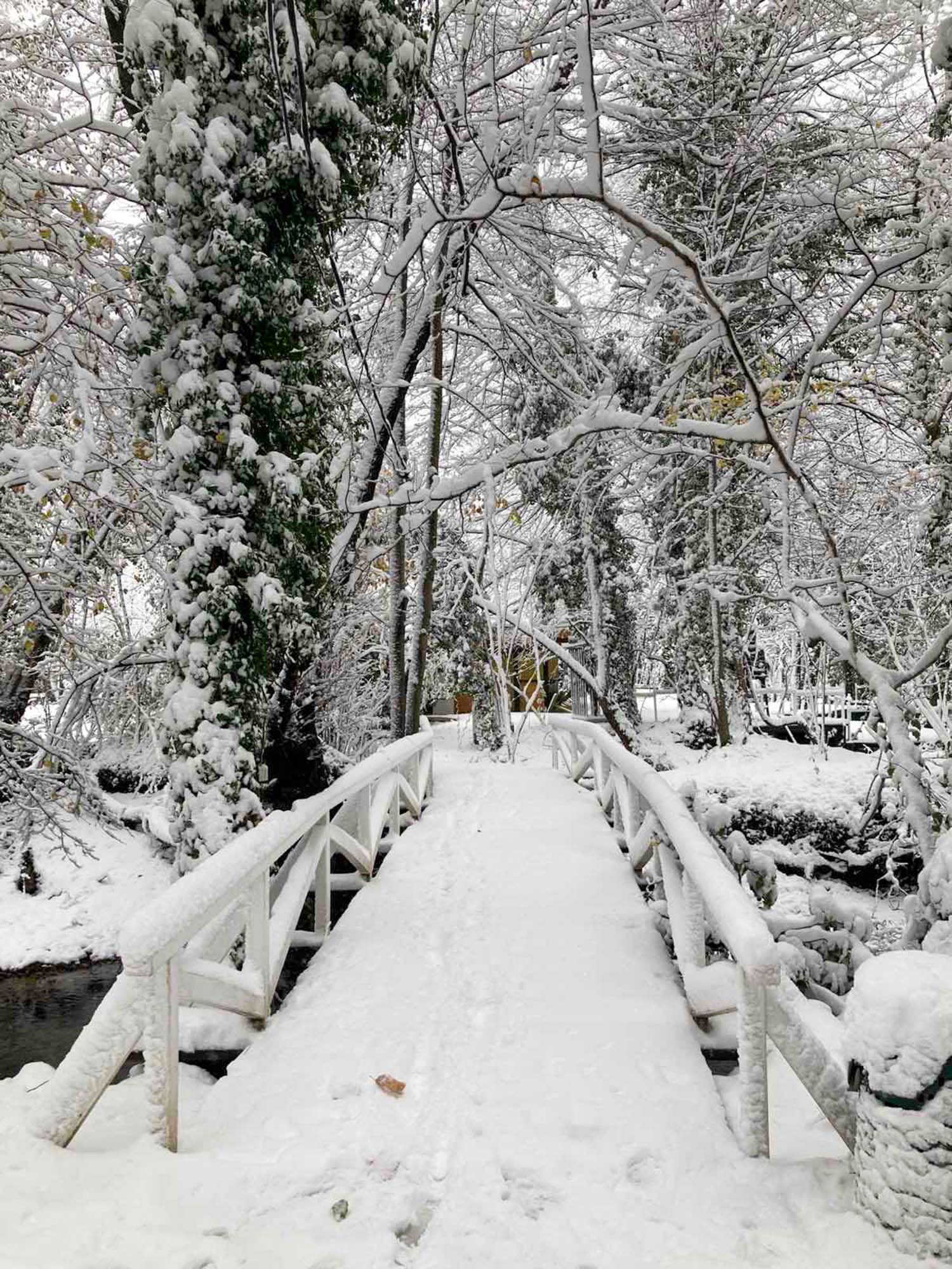 Zimska tišina na Japodskim otocima: Album za resetiranje - 8